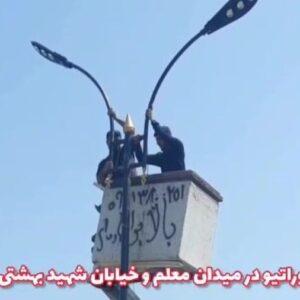 65977825-6202-l__4811