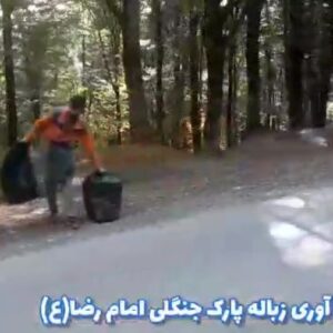 65977874-8338-l__2761